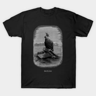 Vulture purity T-Shirt